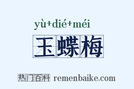 玉蝶梅是什么意思的图片